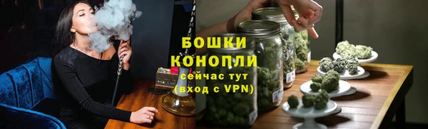 хмурый Нея