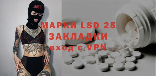 хмурый Нея