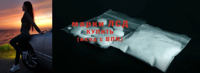 стаф Нефтекумск