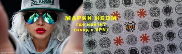 стаф Нефтекумск